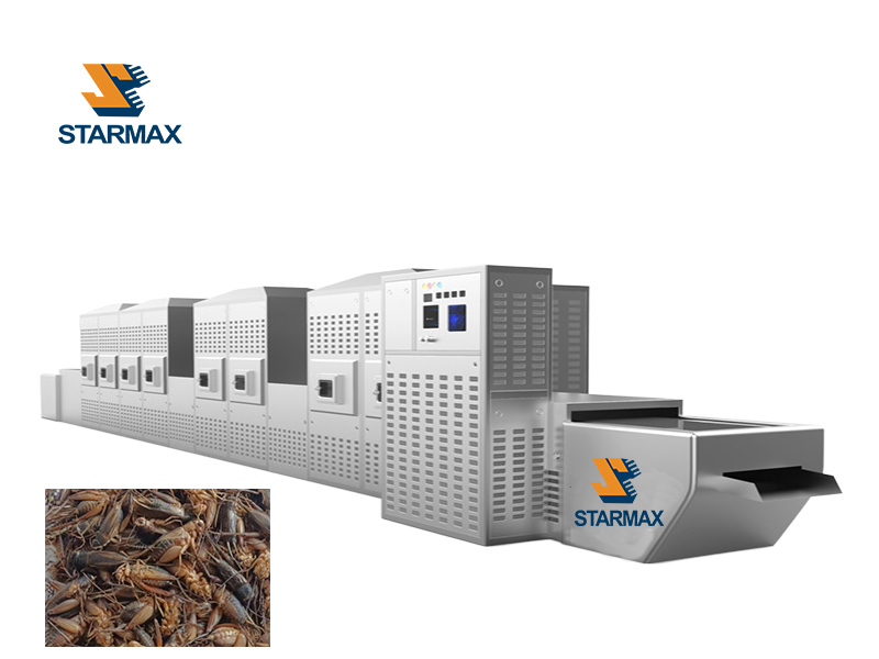 Perilla Seed Microwave Ripening Sterilization Equipment