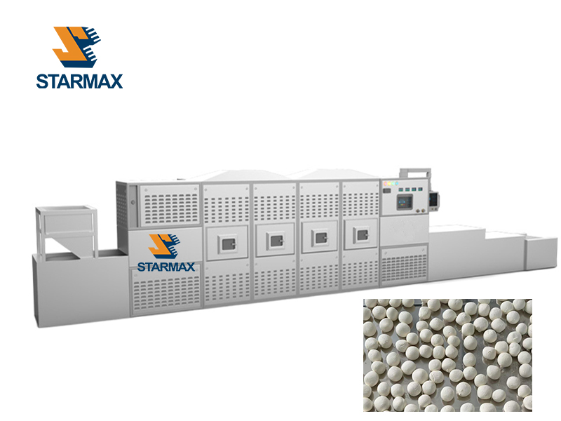 Microwave Salt Sodium Drying Machine