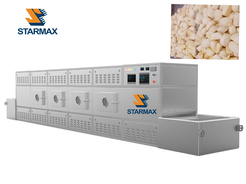 Microwave Drying Equipment