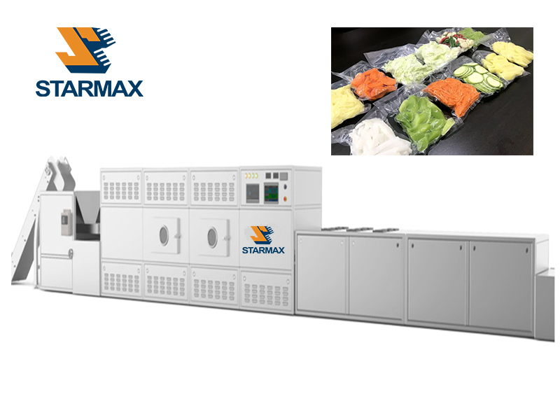 Vacuum Microwave Drying Equipment