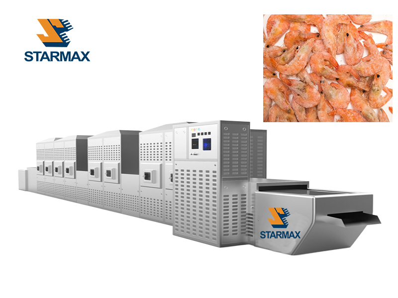Microwave Vacuum Drying Machine