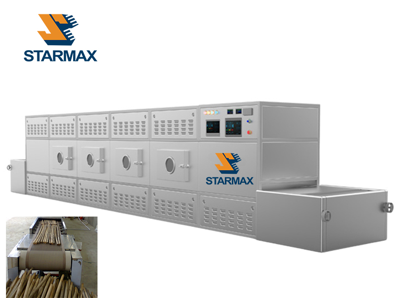conveyor microwave dryer